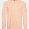 Regular Fit Button Down Oxford Shirt