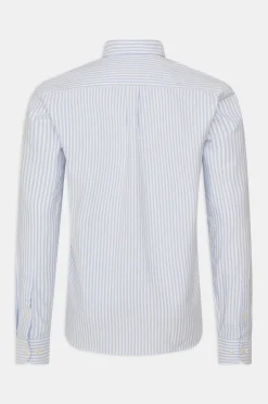 Regular Fit Button Down Oxford Shirt