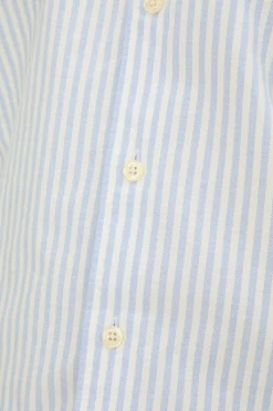 Regular Fit Button Down Oxford Shirt