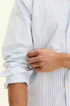 Regular Fit Button Down Oxford Shirt
