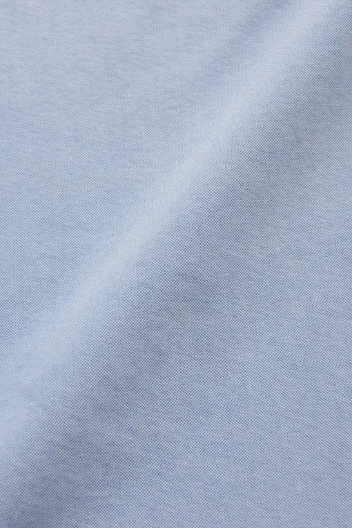 Regular Fit Button Down Oxford Shirt