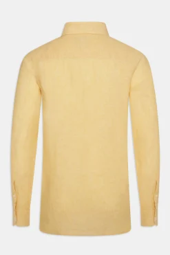 Regular Fit Button Down Shirt