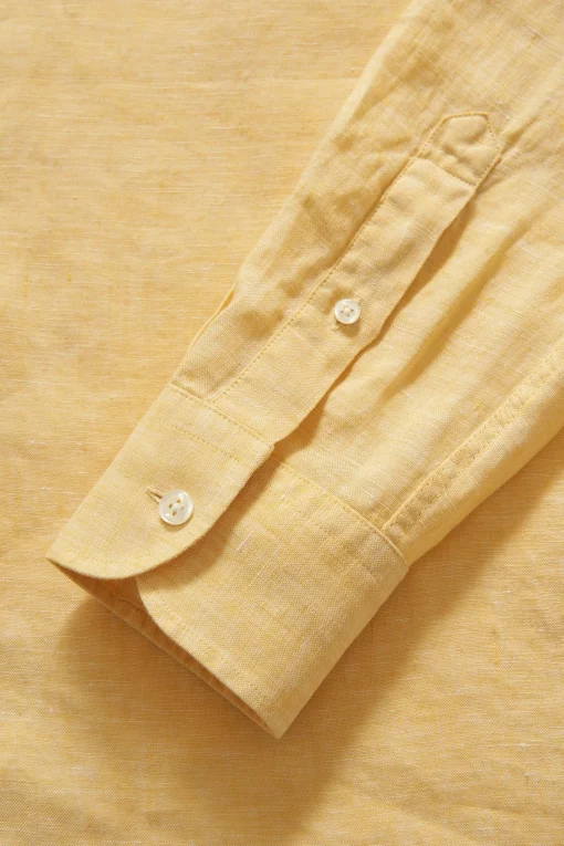 Regular Fit Button Down Shirt