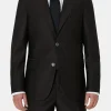 Regular Fit Microstructure Blazer