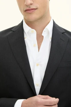 Regular Fit Microstructure Blazer