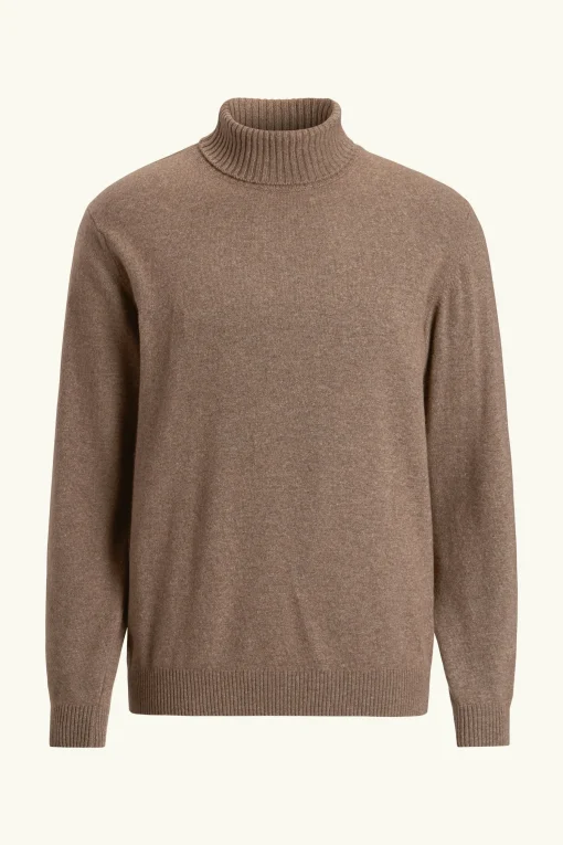 Regular Fit Soft Wool Cashmere Rollneck